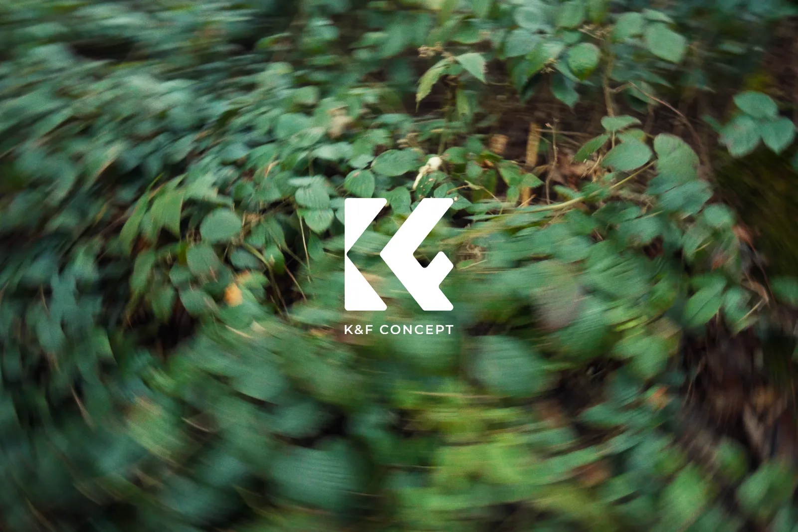 K&F Concept V-Mount battery on location in the forest